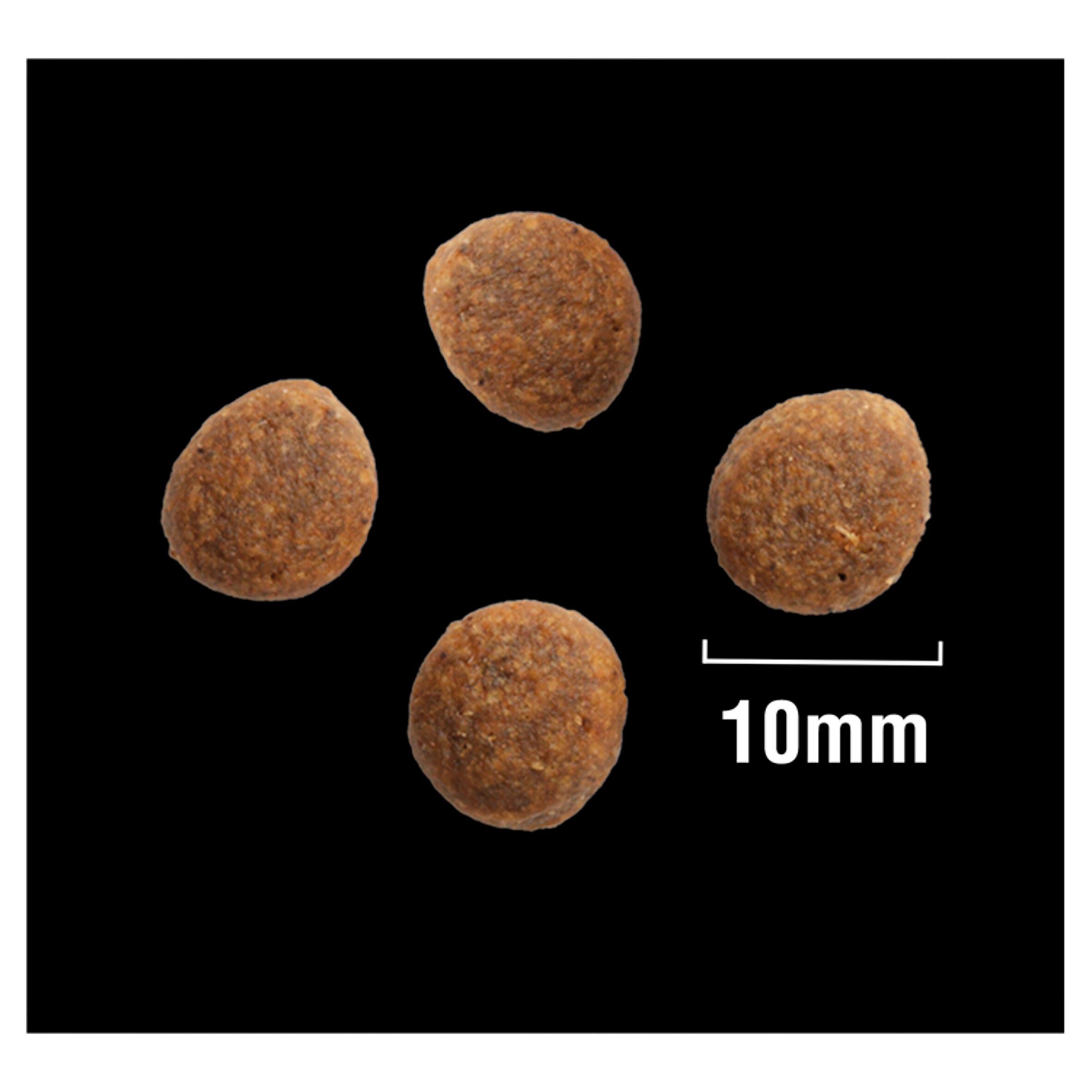 crave dog food tesco