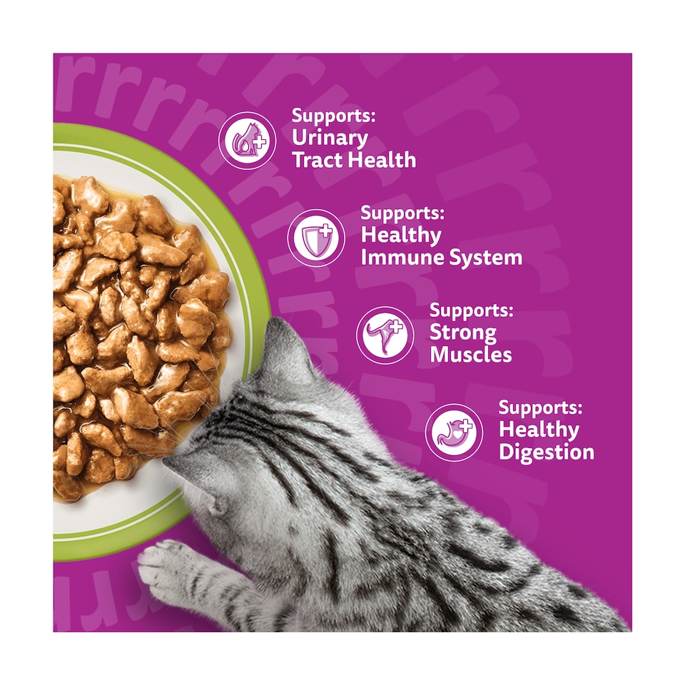image 1 of Whiskas 7+ Senior Cat Food Pouches Mixed Menu in Gravy 12X85g