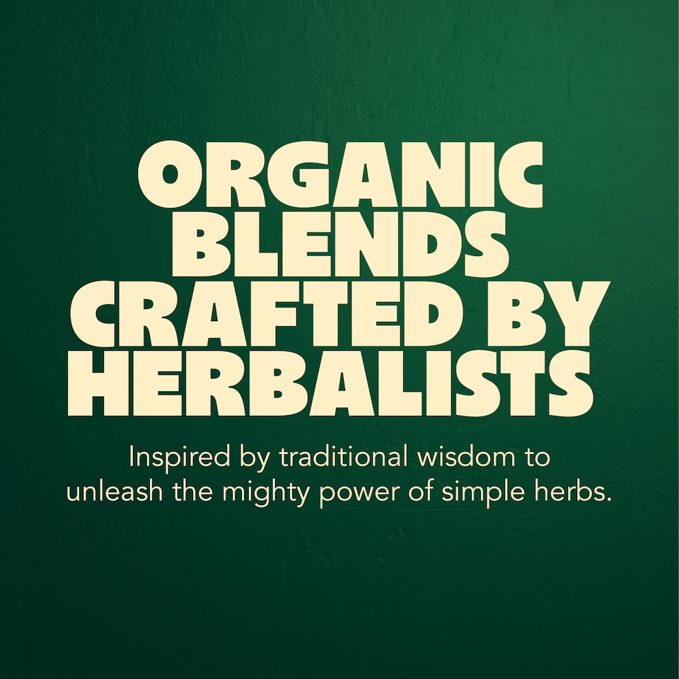 image 1 of Pukka Organic Three Ginger Tea 20 Herbal Tea Bags 36g