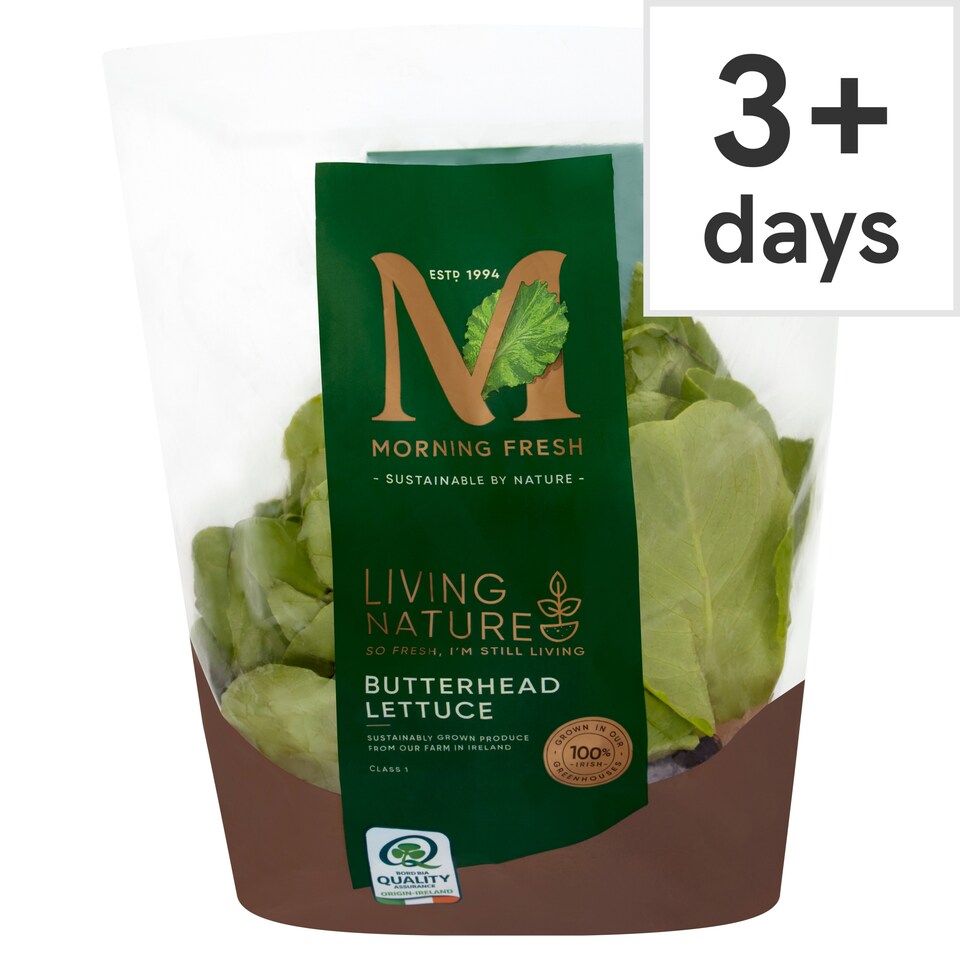 Morning Fresh Living Nature Butterhead Lettuce