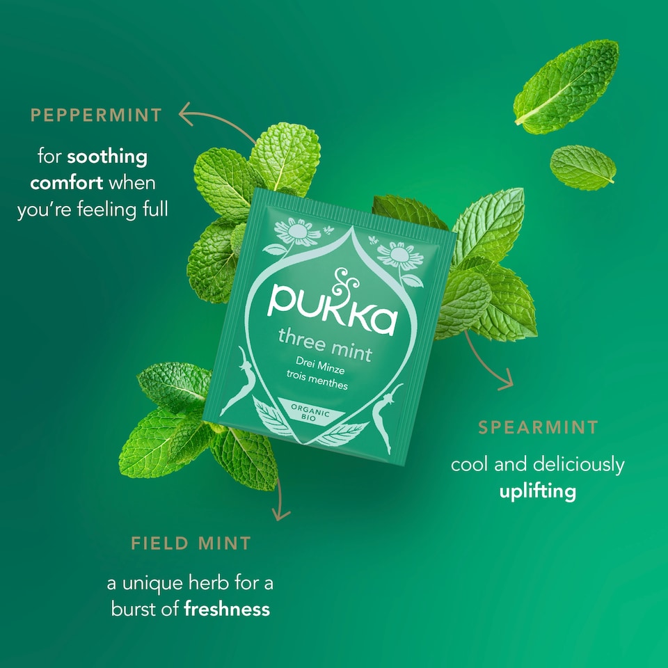 image 1 of Pukka Organic Three Mint 20 Tea Bags 32G