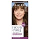 image 1 of CLAIROL NICE'N EASY TONE+GLOSS SEMI PERMANENT HAIR DYE - 611/75 LIGHT ASH BROWN
