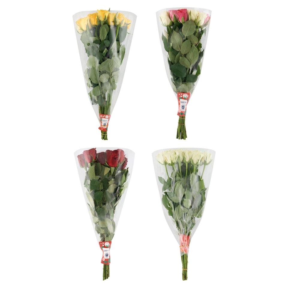 Obrázek 1 pro produkt Kytice růže 50 cm 11 stonků