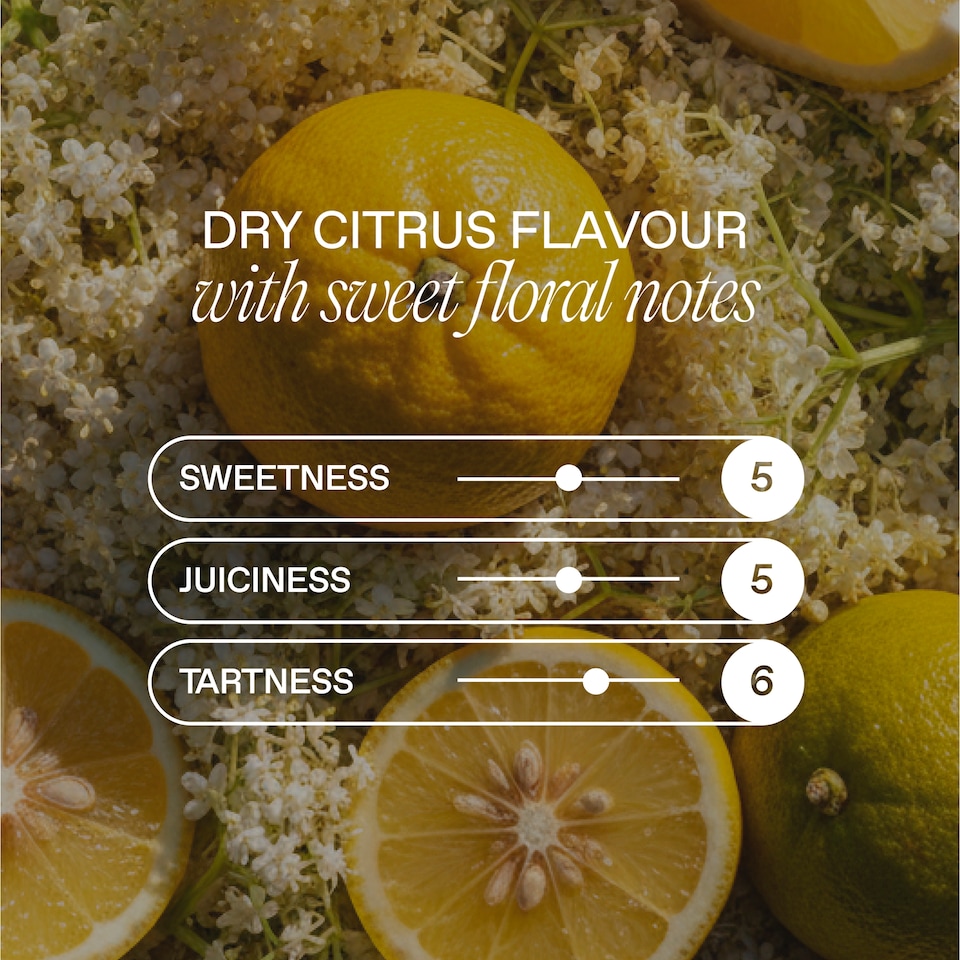 image 1 of Goodrays CBD Elderflower & Yuzu Drink 4 x 330ml