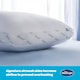 image 3 of Silent Night Airmax Pillow