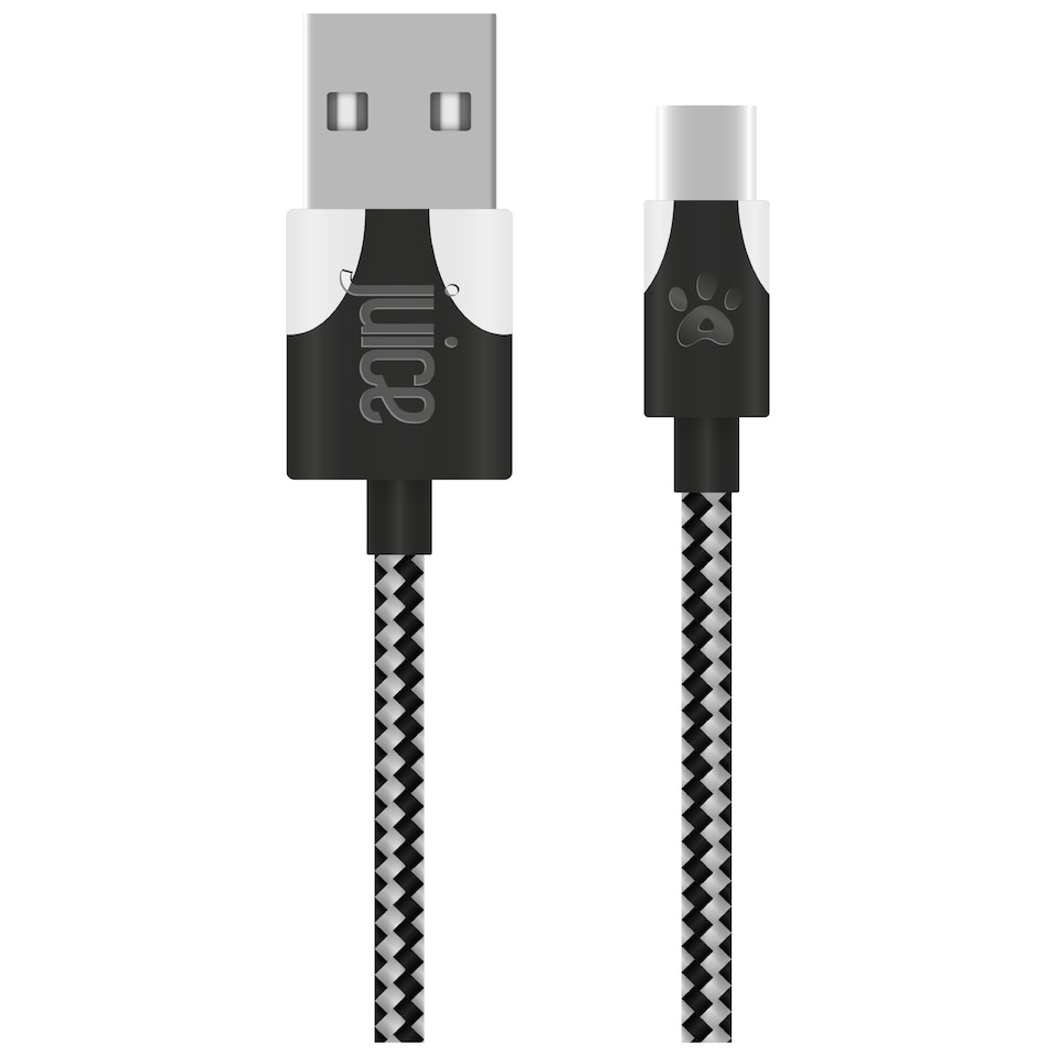 image 1 of Juice Animals Panda 2M Type C Braided