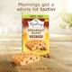 image 2 of Mr Kipling Breakfast Bakes Chocolate Chip Snack Cakes 4 pack