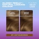image 2 of CLAIROL NICE'N EASY TONE+GLOSS SEMI PERMANENT HAIR DYE - 637/76 LIGHT GOLDEN BROWN