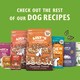 image 5 of Lily's Kitchen Puppy Recipe with Turkey, Duck & Kale Tray 150g
