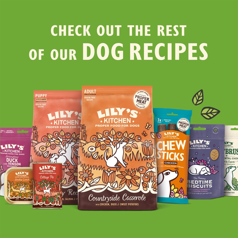 image 1 of Lily's Kitchen Puppy Recipe with Turkey, Duck & Kale Tray 150g