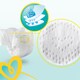 image 3 of Pampers Premium Protection Size 4 Essential Pack 39 Nappies