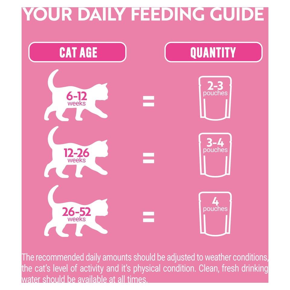 image 1 of PURINA ONE Kitten Mini Fillets Salmon and Chicken Wet Cat Food 8x85g