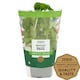 image 1 of Tesco Basil Medium Pot
