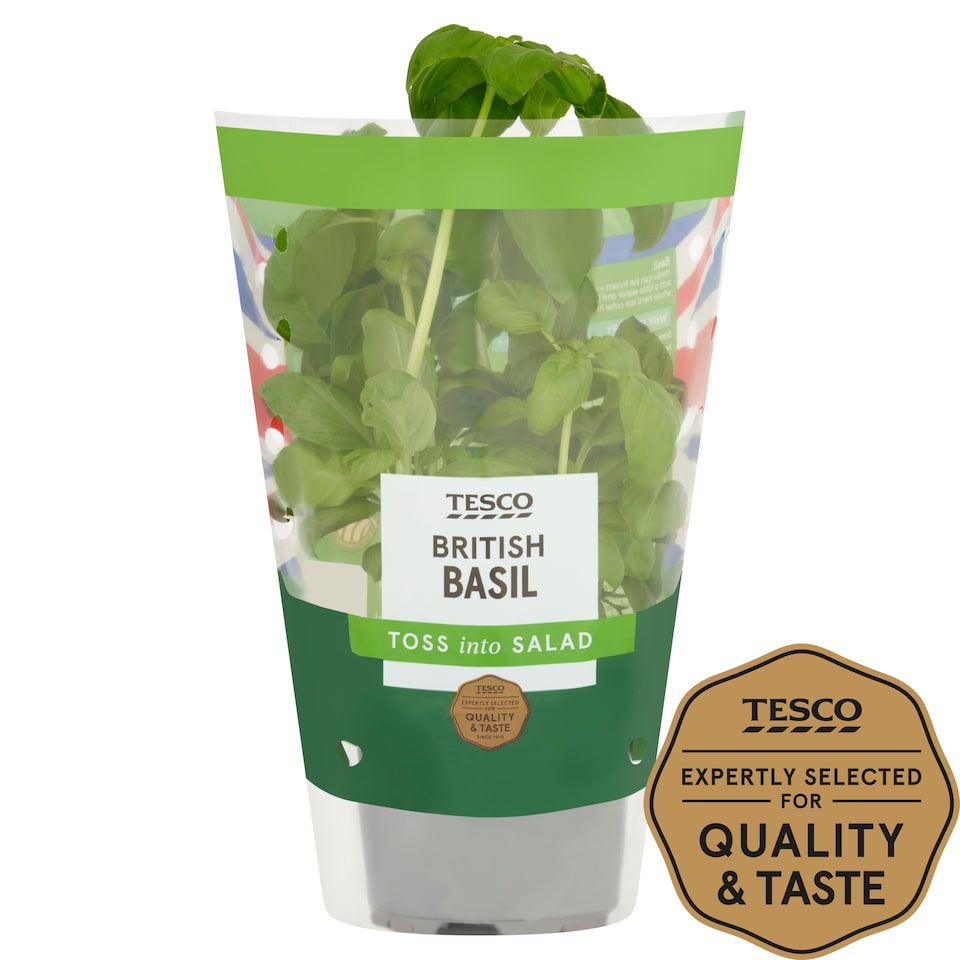 image 1 of Tesco Basil Medium Pot