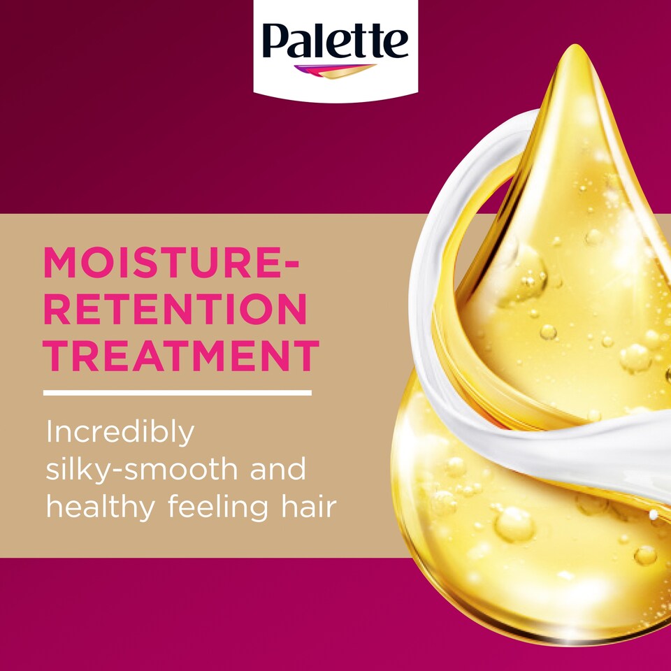 image 1 of Palette Deluxe Permanent Hair Dye - 6-0 Light Brown 