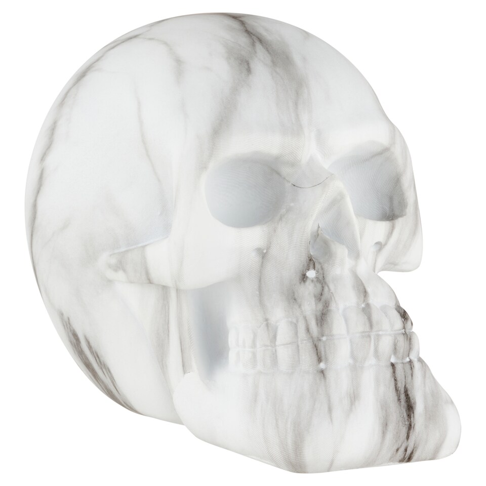 Skull Decoration