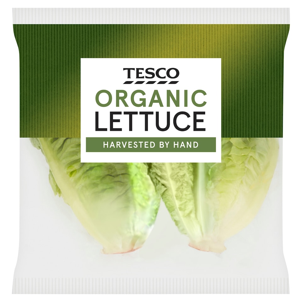 Tesco Organic Lettuce