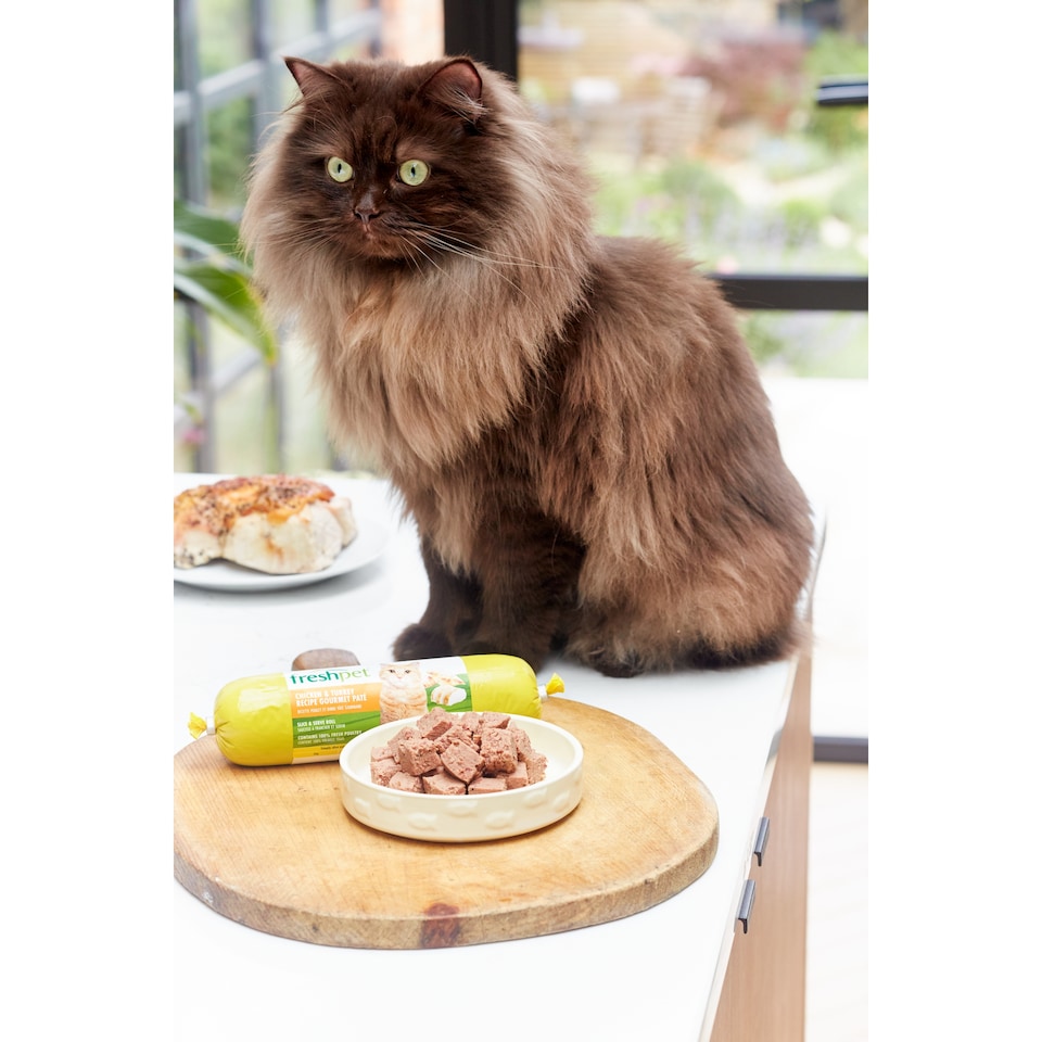 image 1 of Freshpet Chicken & Turkey Recipe Gourmet Pate Roll for Cats 350g