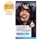 image 2 of CLAIROL NICE'N EASY BOLD PERMANENT HAIR DYE - 4.67 AMETHYST BROWN
