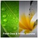 image 2 of Air Wick Air Freshener Fresh Dew & White Jasmine 236Ml
