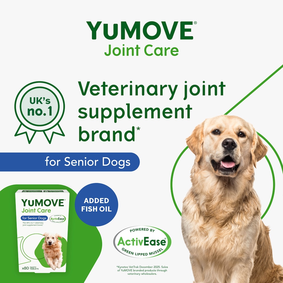 image 1 of YuMove Joint Care Senior Dog 80 Tablets 76g