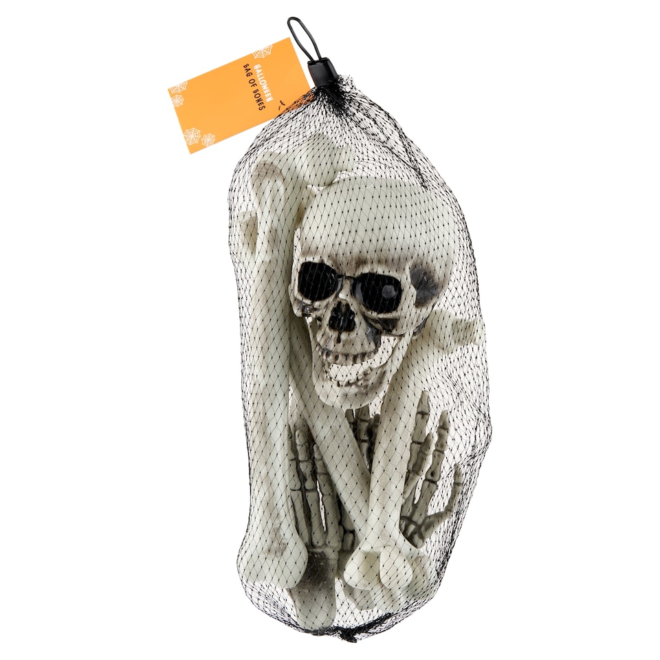Rayland Halloween Bag of Bones