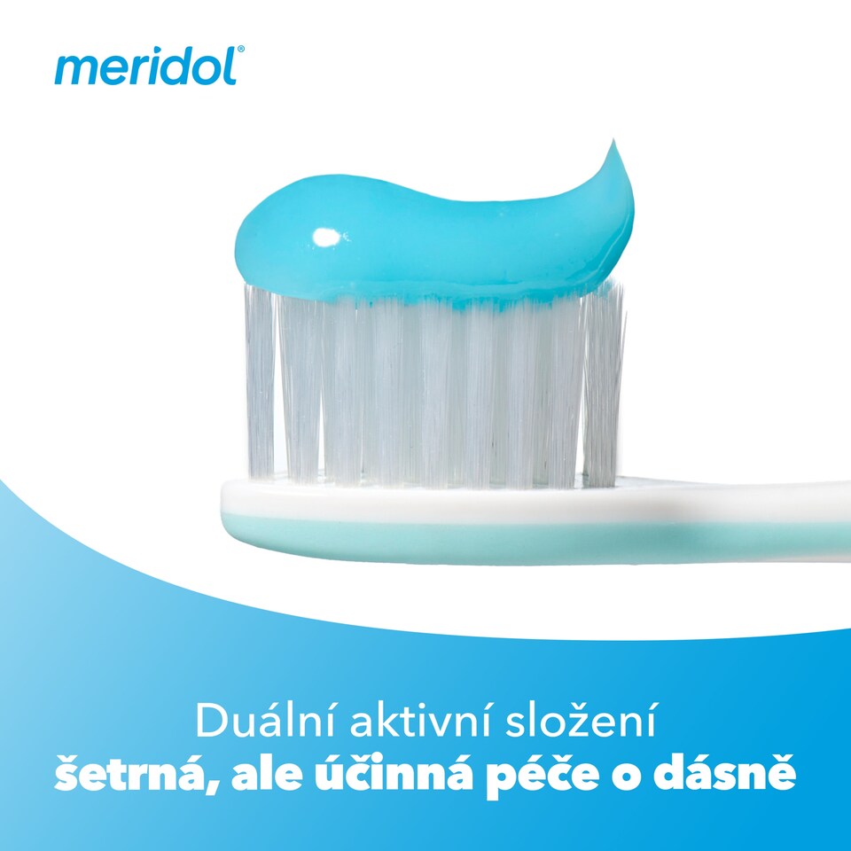 Obrázek 1 pro produkt meridol®Gum Protection zubní pasta pro ochranu dásní 2x 75 ml