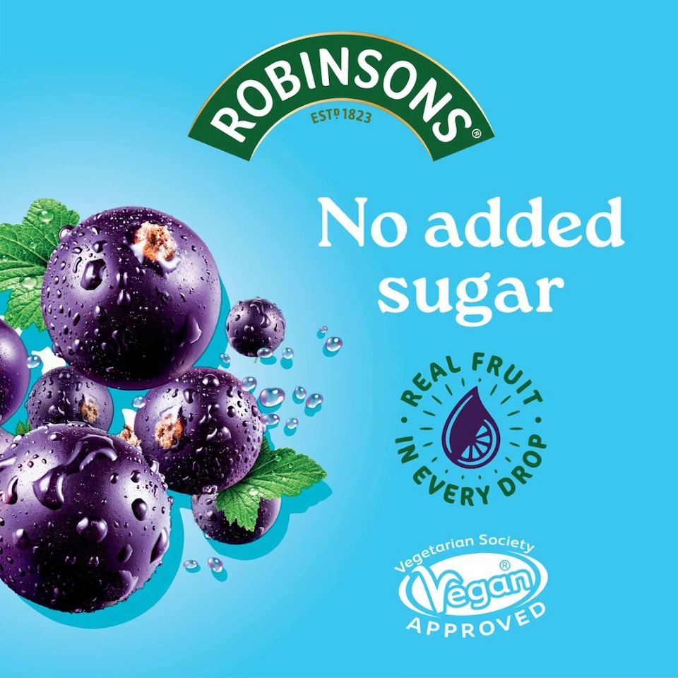 image 1 of Robinsons Double Strength Blackcurrant No Added Sugar Squash 1L