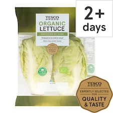 Tesco Organic Lettuce