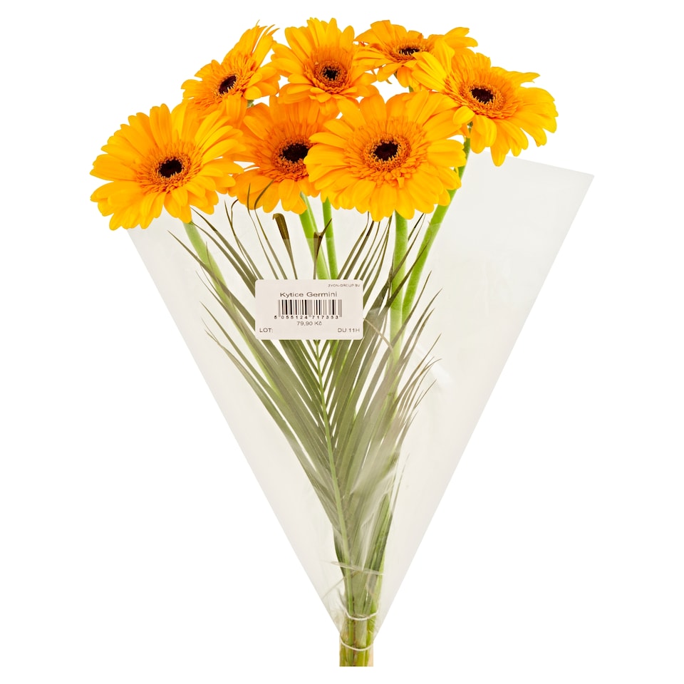 image 1 of Tesco Bouquet Germini