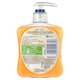 image 2 of CAREX ZOG FIERY FRESH ANTIBACTERIAL HANDWASH 250ML
