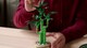 LEGO Botanicals 10344 Szerencsebambusz  2. kép