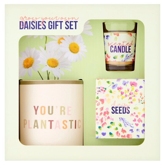 Grow Your Own Daisies Gift Set Tesco Groceries