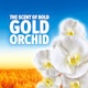 image 4 of Bold Washing Gel Gold Orchid 26 Washes 858ml
