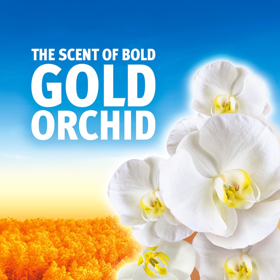 image 1 of Bold Washing Gel Gold Orchid 26 Washes 858ml