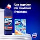 image 3 of Domestos Regular Bleach 1.25L