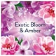 image 4 of Lenor Fabric conditioner Liquid Exotic Bloom & Amber 29 washes 899ml