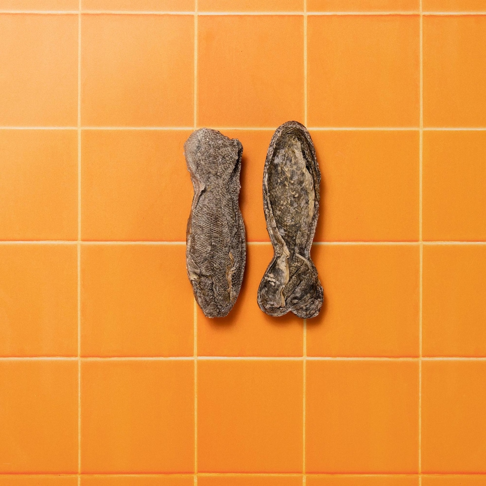 image 1 of Pooch & Mutt 100% Cod 2 Fish Hide Chews for Dogs 90g