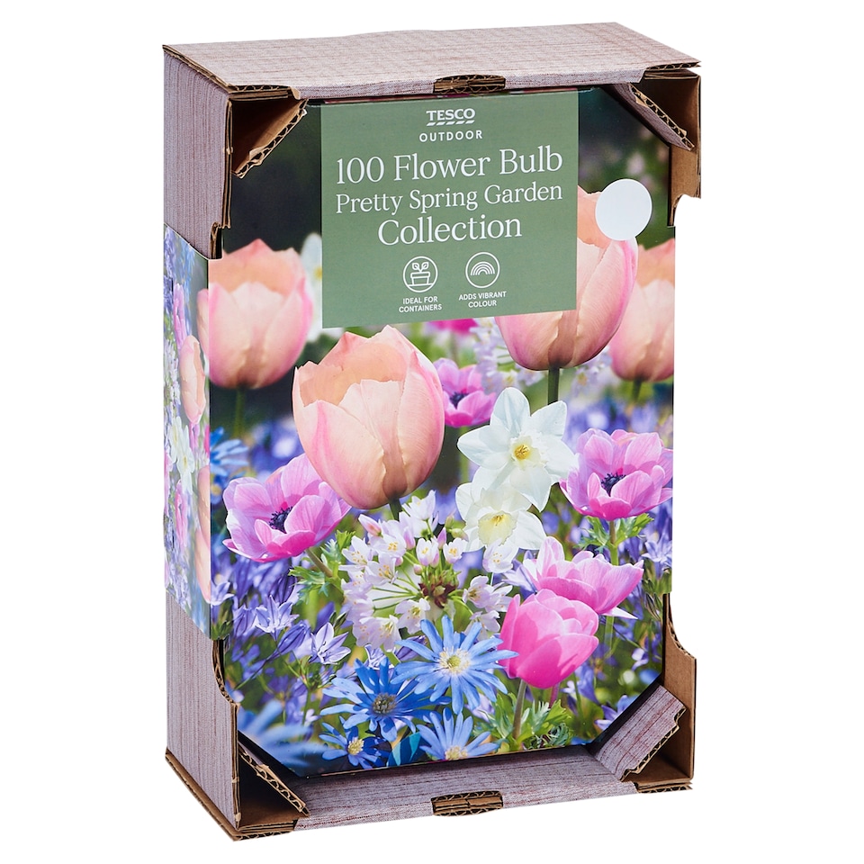 Tesco Pretty Spring Garden Collection