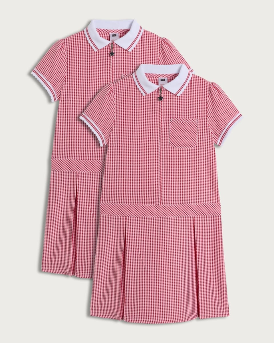 F&F School Girls 2-Pack Gingham Short Sleeved Dresses in Red