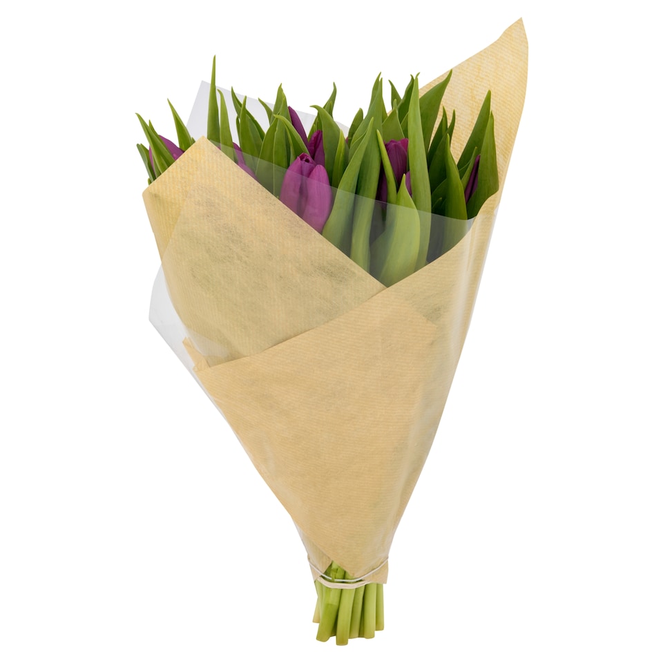 obrázok 1 z Kytica tulipány 23 ks