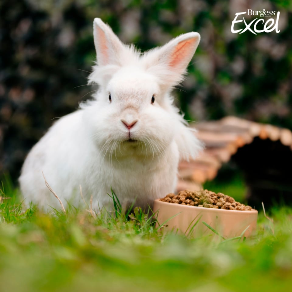 image 1 of Burgess Excel Rabbit Nuggets 1.5Kg