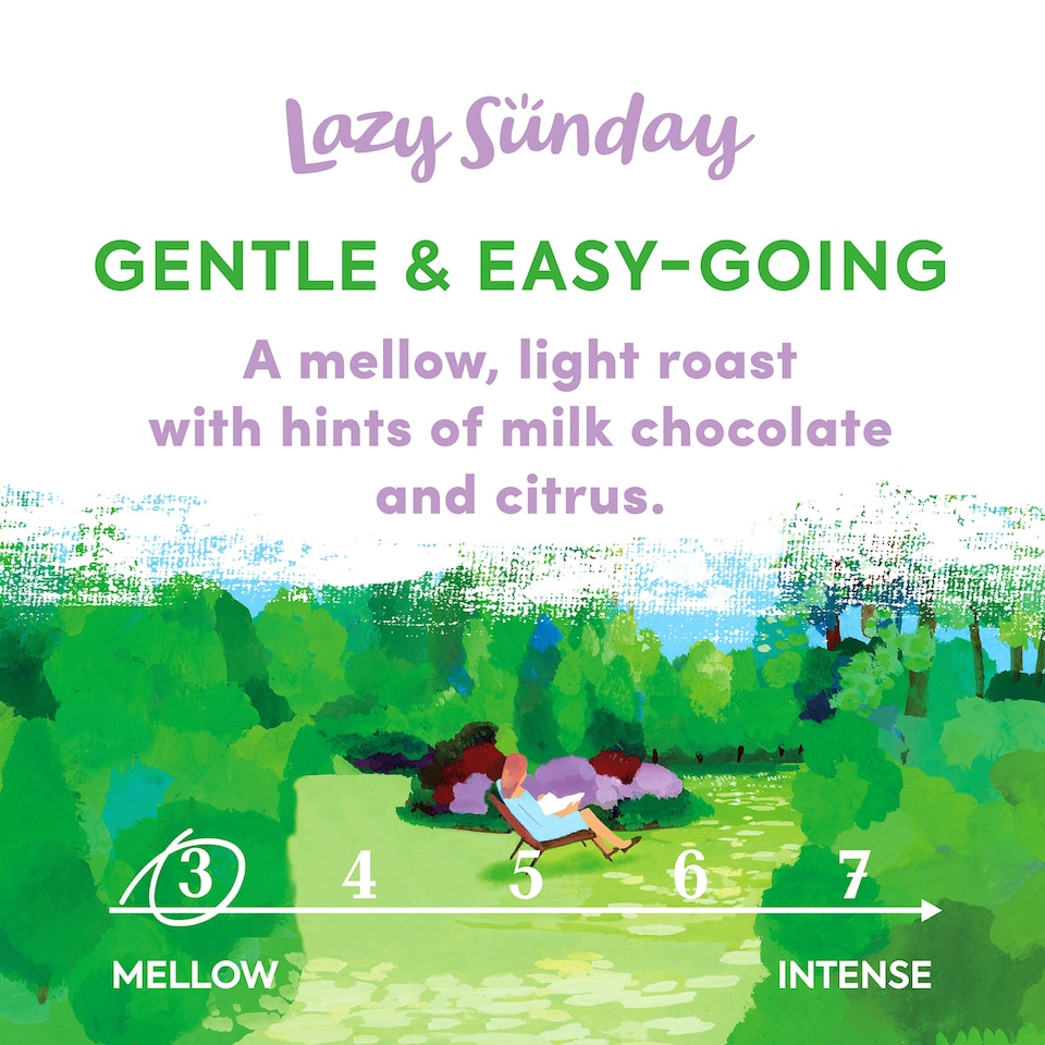 image 1 of Taylors of Harrogate Lazy Sunday Beans Roast Coffee 200g