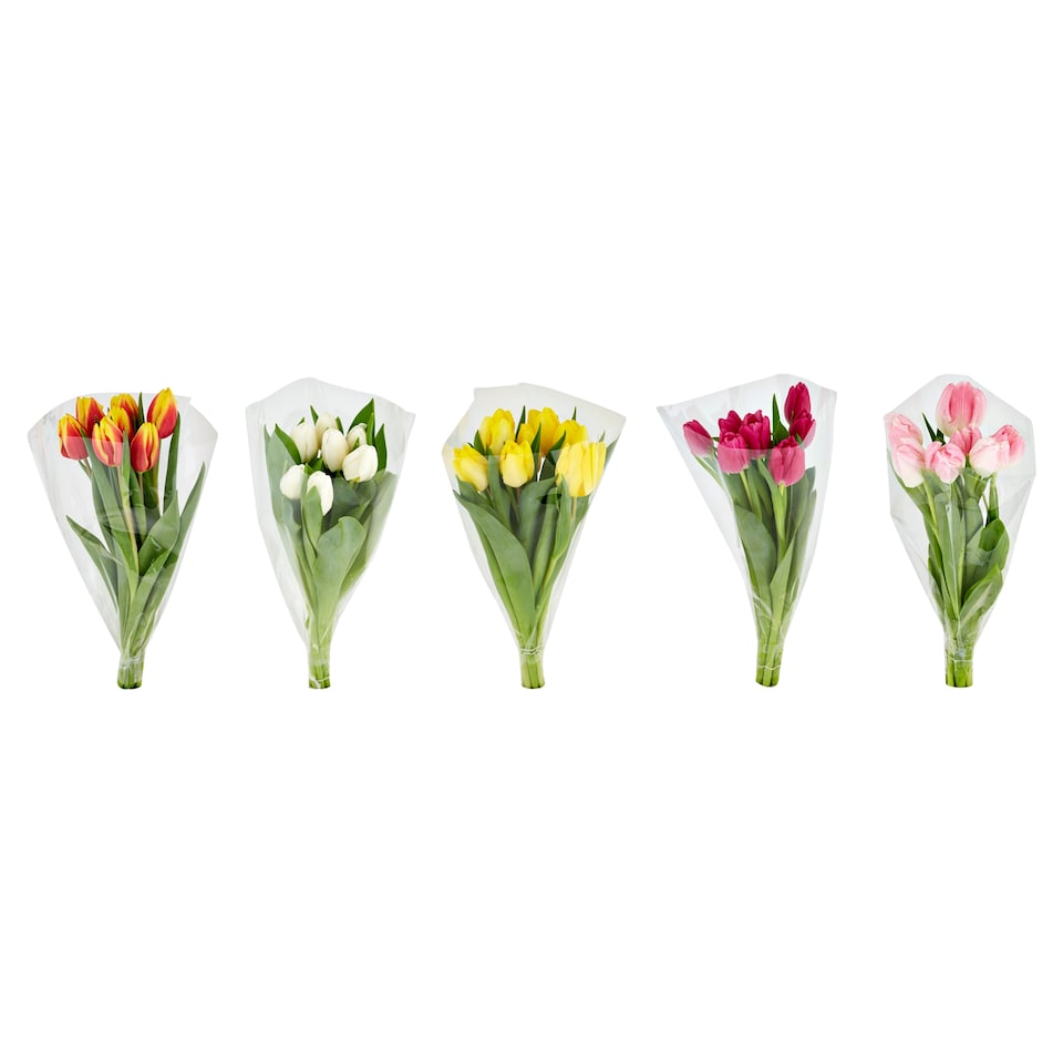 image 1 of Tesco Bouquet of Tulips 7 Stems