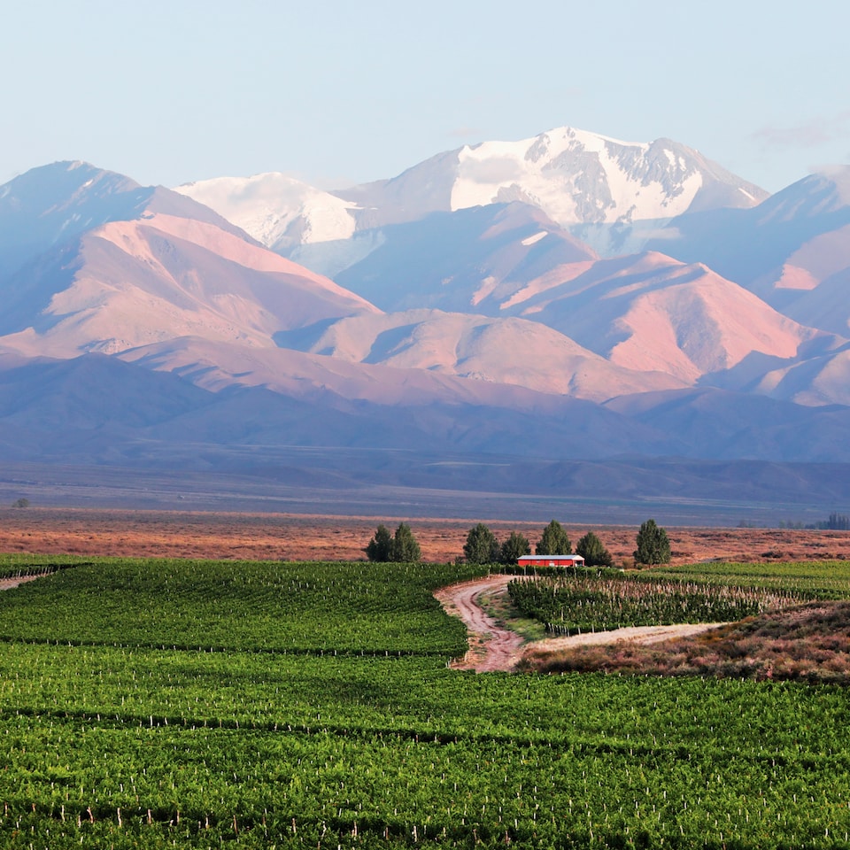 image 1 of Vinalba Reserve Malbec 75Cl