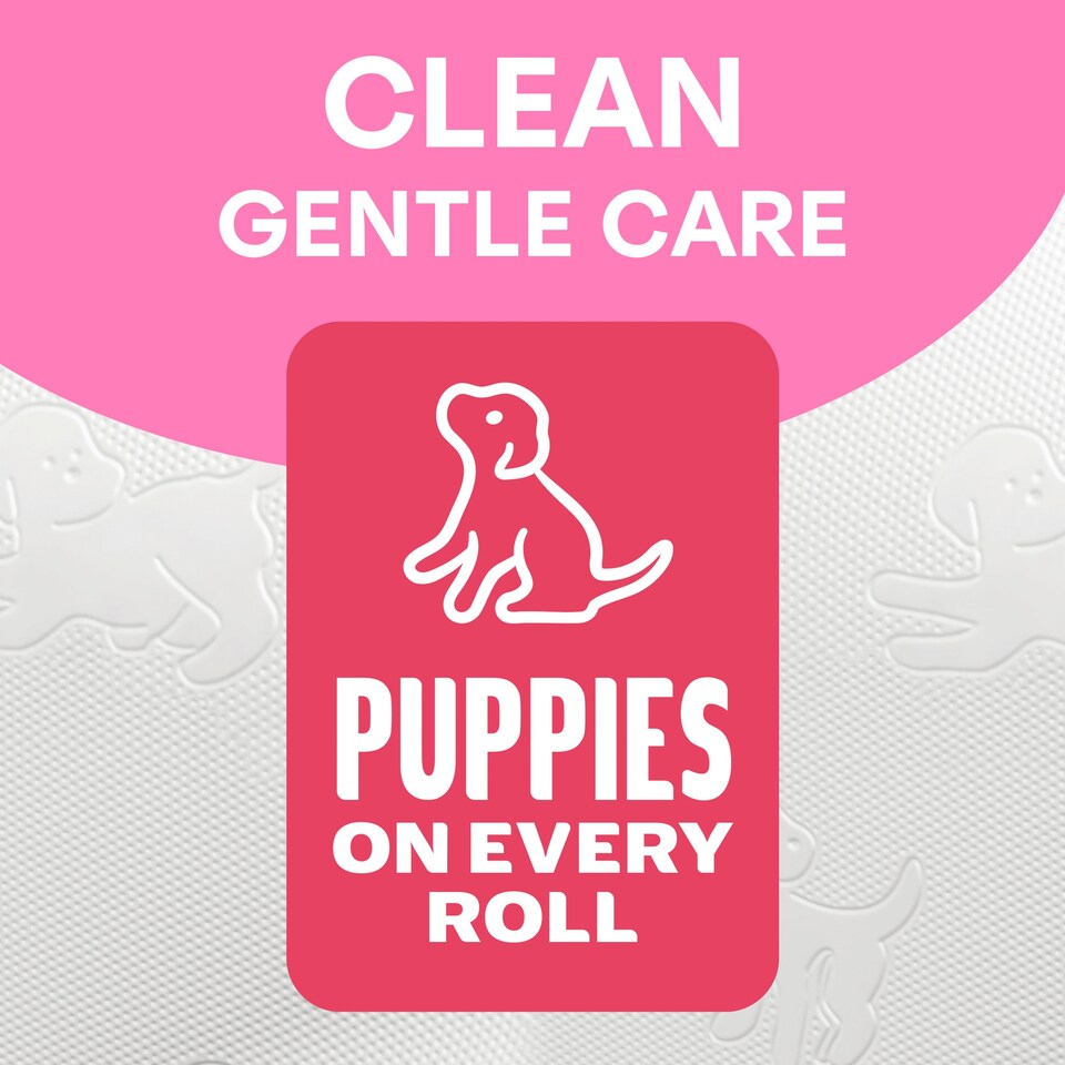 image 1 of Andrex Family Soft Toilet Tissue Standard 24 Rolls