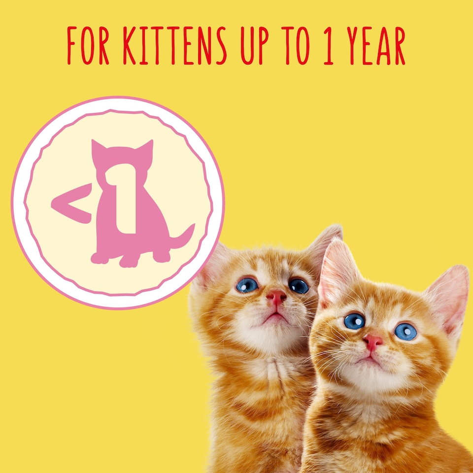 image 1 of GO-CAT Kitten Chicken; Turkey and Milk Dry Cat Food 750g