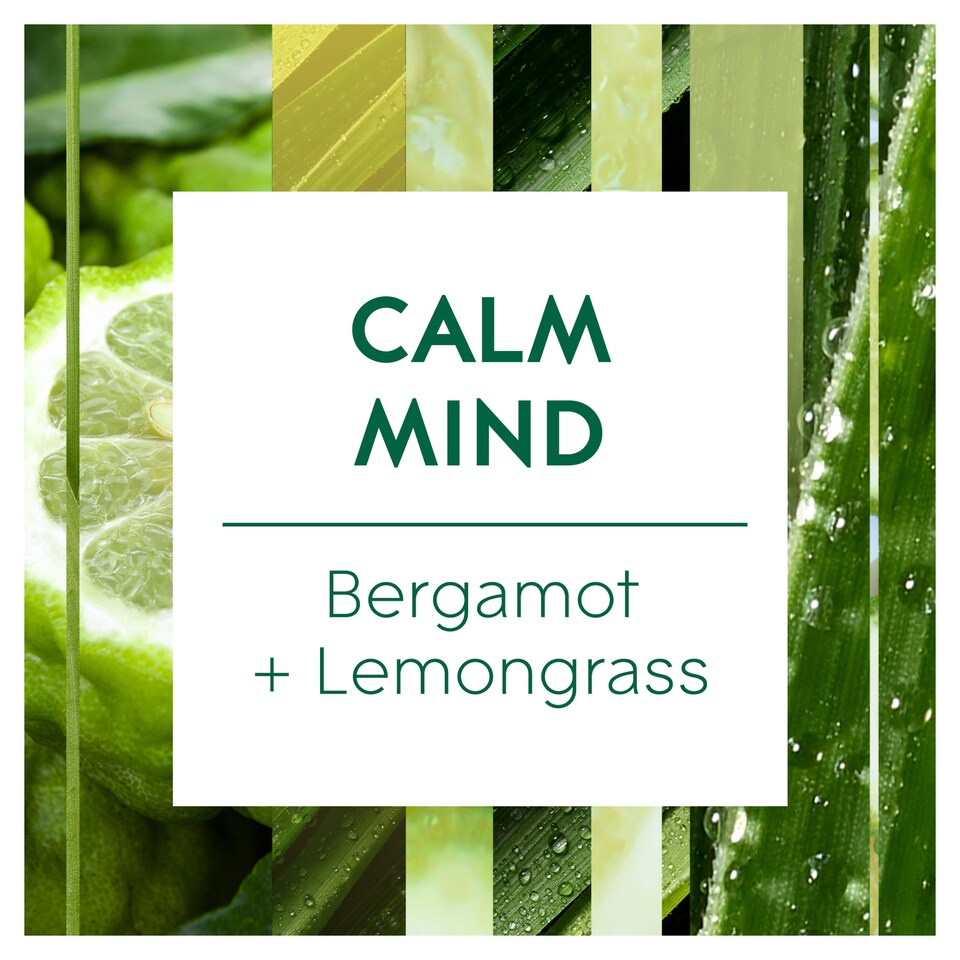 image 1 of Glade Aromatherapy Cool Mist Diffuser Refill Bergamot 17.4ml