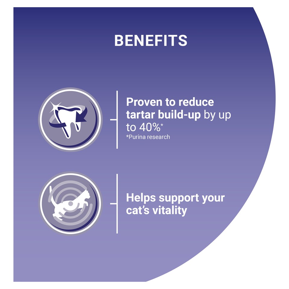 image 1 of PURINA ONE Salmon Dry Cat Food 3kg