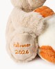 image 2 of F&F Baby Halloween 2026 Teddy Bear and Blanket in Brick